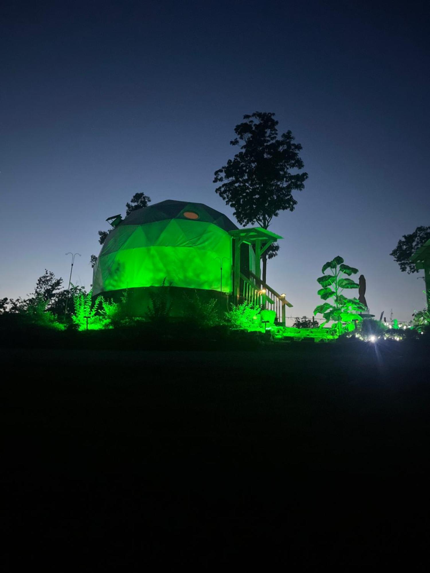Waterfront Luxury Glamping Dome Hotel Rogersville Buitenkant foto