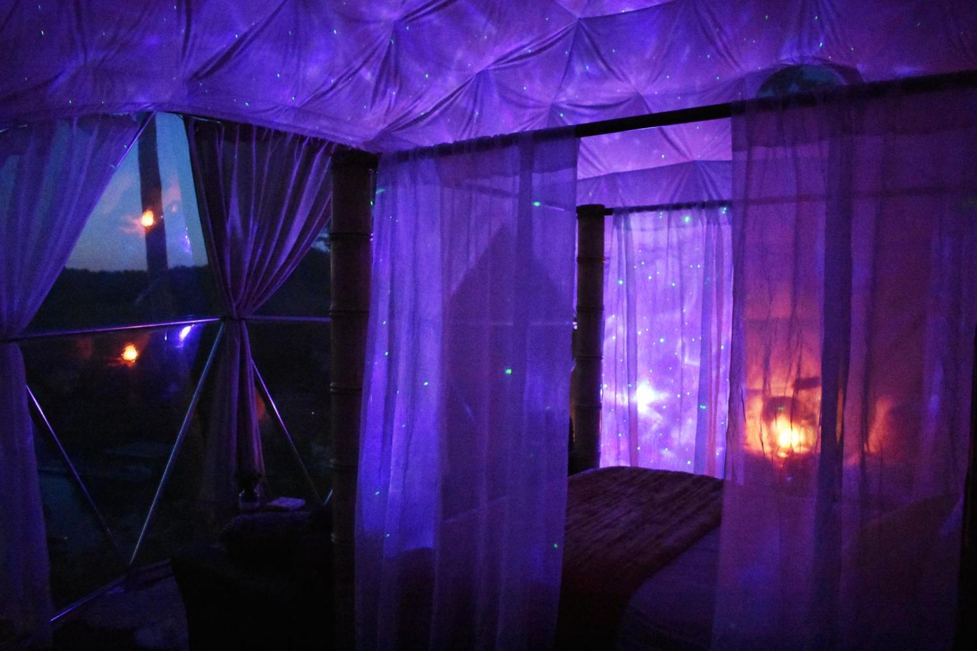 Waterfront Luxury Glamping Dome Hotel Rogersville Buitenkant foto